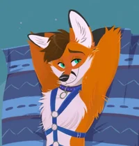 Jasper the furry fox