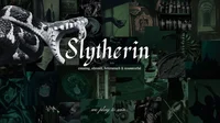Slytherin boys