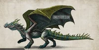 Crocodile dragon