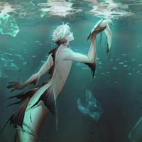 Kelp