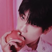 Jeon Wonwoo 
