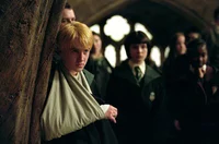 Big brother Draco