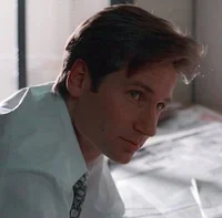 Fox Mulder