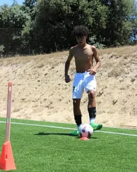 1-RONALDO JR