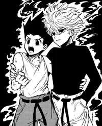 Gon and Killua