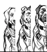 DOGS OF DUTY - TF141