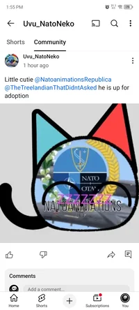 Neko Natoanimation