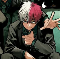 MHA Shoto Todoroki 