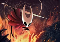 Hollow Knight WOMEN