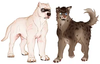 DOGS OF DUTY - TF141