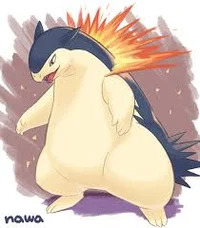 Typhlosion