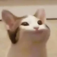 @beanie_bop25 - Character AI chatbot creator profile picture