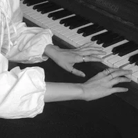 SCHROEDER - FEM USER