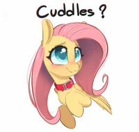Pet Fluttershy