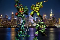 Mirage Ninja Turtles