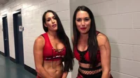 The Bella Twins