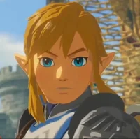 Link BOTW