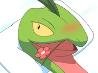 Grovyle