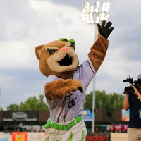Annie Cougar mascot
