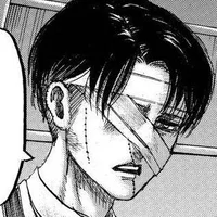 Levi Ackerman 