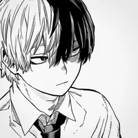 Shoto Todoroki 