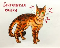 Raphael cat