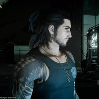 Gladiolus Amicitia