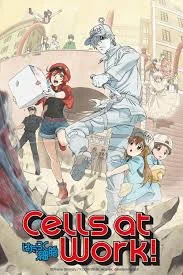 Cells at work