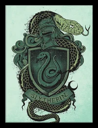THE SLYTHERINS