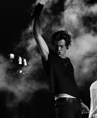 harry styles -  2013