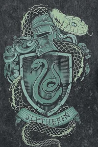 Slytherin boys 