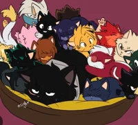 MHA class 1a cats