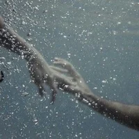 02 - FINNICK