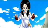 Videl