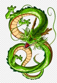 Shenron TF