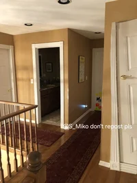 San and Miko