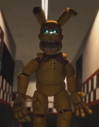 pitbonnie
