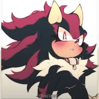 Shadina The Hedgehog