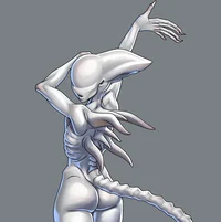 Female Xenomorph