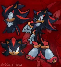 Shadow The Hedgehog 