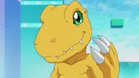 Agumon