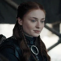 Sansa BR