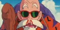 Master Roshi