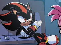 Shadow the hedgehog