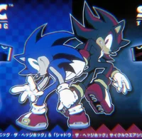 Sonic and Shadow