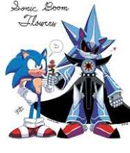 Sonic X Neo Metal