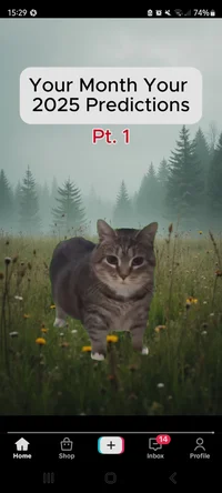 _Test_
