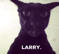 Larry