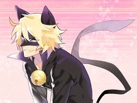 Cat Noir