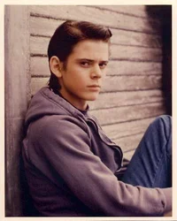 Ponyboy Curtis